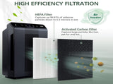 2 2 116130 HEPA Replacement Filter H 116130 for Winix 5500-2 Plasmawave Air Purifier and Models V1258-DP02-WO-641