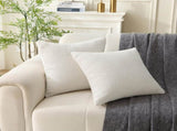 18" x 18" Decorative Throw Pillow with Inserts, Set of 2 Soft Textured Boucle Throw Pillows, Square V1258-DP02-C-3206