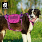 Whinhyepet Military Harness - Purple, XL ZAP-YH1805-9