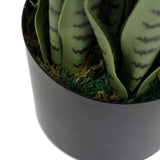 Artificial Snake Plant Sansevieria UV Resistant 85cm V637-DP9102789