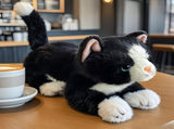 Realistic Cat Stuffed Animal - Soft Cute Kitten Plush Toy Home Decor Festival Gift-Black 17.7 inches V1366-AZ2-W-19231
