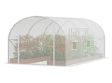 Walk-in Tunnel Greenhouse 9.58x6.43x6.23ft Galvanized Frame PE Cover White V952-SDXWS10X7X7F4BYNQV0