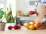 Fruit Bowl - Fruit Basket - Fruit Bowls - Fruit Baskets - Kitchen Organizer - Food - Picnic Basket V1188-MS101-02171-1