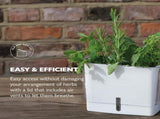Fresh Herb Keeper - Acrylic Storage Container for Refrigerator - Storage for Herbs & Vegetables for V1258-DP02-WO-118