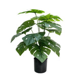 Artificial Potted Split Philodendron 50cm V637-DP321859