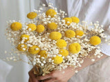 60 Stems Diameter Craspedia Dried Flowers, 16inch Billy Buttons Balls Bouquet Bundles V1370-AZ4-14729