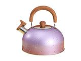 Water Kettle, Stainless Steel Whistle Kettle, Large Capacity Flat Bottom for Gas Induction, 2L, V1263-JX-3009