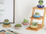 2.5 Inch Small Ceramic Succulent Planter Pot with Drainage Hole, Ice Crack Glaze Porcelain V1192-AZ-W-20355