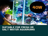 PROTEGE Aquarium External Canister Filter Aqua Fish Tank Pond Pump UV Light 1850 L/H V219-AQUEFPPROA4M0
