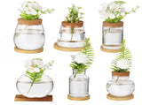 6PCS Plants Propagation Stations, Desktop Glass Propagation Vases with Wood Lid and Stand, V1192-AZ-W-18296