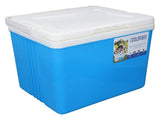 Cooler Box 10L EPS Highly Efficient with Handle Insulated Cooler for Camping Picnic Fishing V1294-YM0901-3111240172111