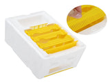 Queen Bee Mating Box Foam Breeding Rearing Copulation Accessory Beekeeping Equipment V1294-YM0901-3111200232111