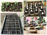 120 Pieces Biodegradable Seedling Pots, Biodegradable Pots, Biodegradable Seedling Pots for V1237-ZY-528-182