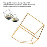 Gold Geometric Shape Succulents Plant Flowerpot Glass Planter Landscape Home Table Decoration V1294-YM0901-3112200036011
