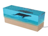 Night Light Simulated Marine Landscape USB Powered White Lighting Multi Purpose Decorative Ambient V1294-YM0901-3119250009611