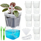 6 Pcs Plastic Self Watering Pots Clear Planters with Drainage 2 Small Hydroponic Nursery Propagation V1192-AZ-W-17434
