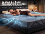 Giselle 25cm Queen Memory Foam Mattress Gel Infused Foam Removable Cover FOAM-D-MFM-ECLIPSE-H025-Q
