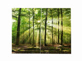 Forests Sunlight Printing Shading Curtains for Balcony Bedroom Drawing Room Window 170 * 200cm V1294-YM0901-JY35918-02