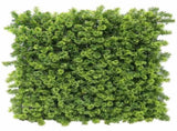 Green Moss Panel UV Resistant 100cm x 100cm V637-DP1225257
