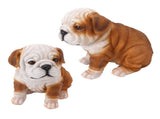English Bulldog Puppy Statue Lifelike Resin Bulldog Sculpture for Garden Lawn Porch Decoration V1294-YM0703-3111230093412