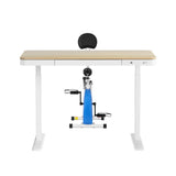 Artiss Under Desk Folding X-Bike with 120cm Automatic Standing Desk Magnetic Resistance Oak SDEB-S08-NW-120-DB02
