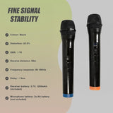2 x Wireless Microphone Handheld Cordless Professional Mic Karaoke Receiver V63-840341