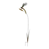 Colour Dragonfly Garden Stake 180cm V637-71300DRG