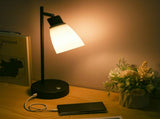 Industrial Table Light Beside Lamp 1 Type C & 1 USB Charging Port Stepless Dimmable Brightness V1294-YM0901-L5528US-1