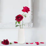 Plastic Flower Vase Modern Decorative Flower Vase for Home Living Room Table Decor V1294-YM0721-10143634