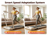Everfit 3 in 1 Walking Pad Treadmill 12% Incline Under Desk Foldable Treadmills for Home Gym With TMILL-380H-2INC-BG