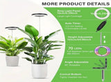 Versatile Floor Plant Grow Light with Full Spectrum LED Ring, Telescopic Stake, 3 Color Modes, V1341-ZY-WAQJ6S4A-WHITE-2PCS