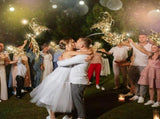 Lighted Wedding Wands Send off, LED Ribbon Stick with Shiny Foil Tinsel Glitter Hand Light up V1366-AZ2-W-18459