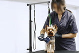 Dog Grooming Arm Pet Grooming Hammock Dog Grooming Stand with Loop Noose V1263-JX-6201