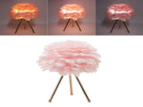 Feather Table Lamp Adjustable Color Brightness Rechargeable Touch Control Decoration Night Light V1294-YM0716-3119220111512