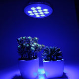 LED Grow Plant Light Bulb for Indoor Plants V1263-JX-5501