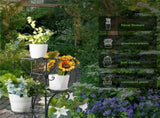 4-Tier Heavy Duty Plant Potted Stand Flower Planters Display Rack Outdoor Indoor V767-XJJ467-BK-G2