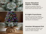 Christabelle 61cm 2ft Alpine Snow Potted Christmas Tree Pre Lit LED Pinecone Hessian Tabletop F 112_WFLAS2P
