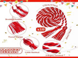 18 Pieces Graduation Cords Bulk 2026 Polyester Yarn Honor 67 Inch Braided Ropes with Tassels for V1259-DP01-A-5527
