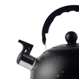 Whistling Kettle 2.5L Tea Pot Fast Boiling with Handle,Stainless Steel, Stovetop Kettle for Camping V1192-AZ-W-11687