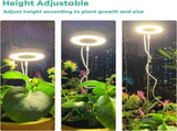 Angel Halo Ring LED Plant Grow Light, Full Spectrum Warm White & Red Blue for Succulents, Flowers, V1341-ZY-DVK5MMNN-3PCS-H