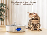 Official 12 Pack Cat Water Fountain Replacement Filters & Pre-Filter Sponges for 108oz/3.2 Stainless V1258-DP02-C-1382