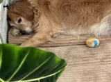 Luxuriously Soft and Thick Pet Sleeping Mat, Perfect Four-Season Floor Bed for Dogs and Cats, V1341-ZY-P5APP8GV-2XL-BROWN