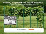 Garden Stakes, 25 Pack, 2100 mm, Plastic Coated Metal Tomato Stakes, Garden Sticks for Plants V952-ZWZCHYZ21M11RIJBP001V0