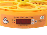 6 Egg Incubator Automatic Egg Turner with Temperature Control Poultry Incubator for Hatching Chicken V1294-YM0901-3111240107912