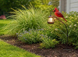Clearance!Cardinal Solar LightA Beautiful Garden Light that Feels Full of Life, Outdoor Stake Yard V1366-AZ2-W-24848