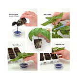 50ml Clonex Rooting Hormone Purple Gel Propagation Clone Plant Growth Technology V238-SUPDZ-32684890325072