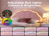 Artiss King Single Bed Frame with 1 Storage Drawers Upholstered Velvet Platform Bed LED Headboard BFRAME-G-GLOW-KS-PK-AB