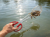 Multi Functional Plated Silver Crab Claw Tongs for Boiling Steaming and Cooking Seafood V1369-AZ3-W-13130