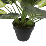 Leopard Lily with Pot 40cm V637-DP1890004