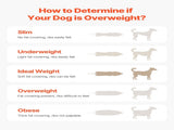 Dog Treadmill for Medium Dogs, 330lbs Weight Capacity, Dog Running Machine with Adjustable Ramps, V952-FDDGGPBJZXQM3V0VLV0